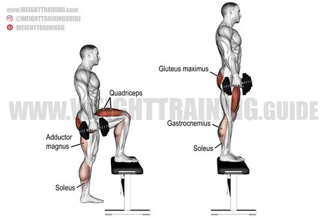 Weighted Bench Step Ups