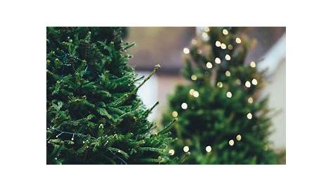 Weihnachtsbaum online kaufen & zum Wunschtermin bestellen