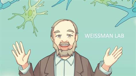 5 Weissman Lab Tips
