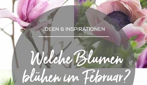 Der Garten im Februar: Das ist jetzt zu tun!