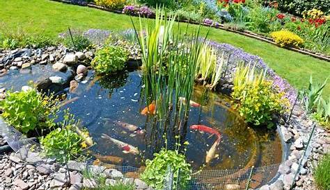 Günstig zum Gartenteich – Tipps und Anleitung für den Teichbau