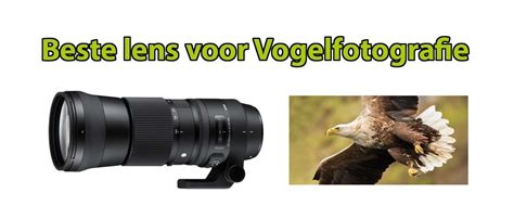 welke lens voor vogelfotografie