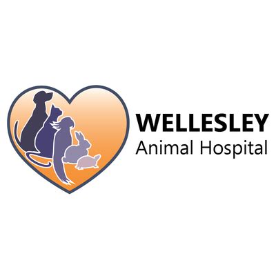 wellesley animal hospital richmond