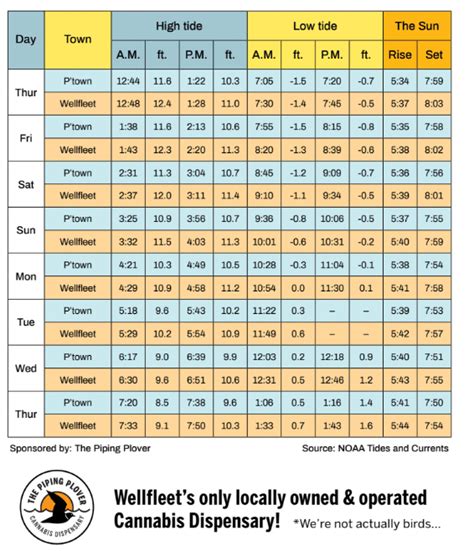 Wellfleet Tide Chart August 2024