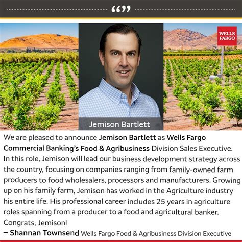 wells fargo bartlett