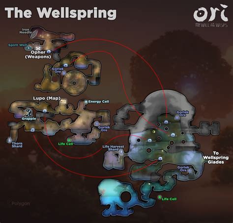 wellspring mlhs