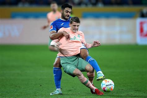 werder bremen v tsg hoffenheim