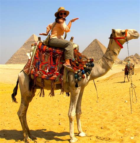 were camels important in ancient egypt