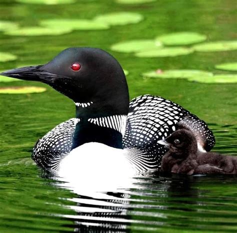 were into the group thing