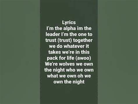 were wolves we own the night lyrics