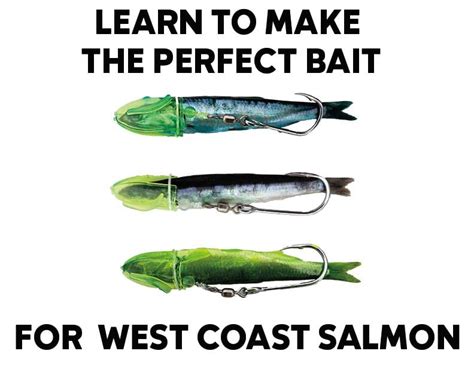 west coast bait company