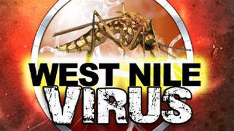 west nile virus new mexico