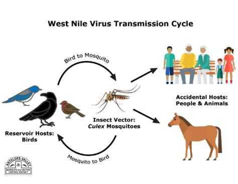 west nile virus nhs
