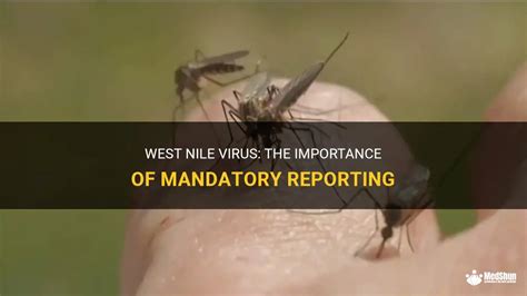 west nile virus reporting