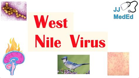 west nile virus usmle