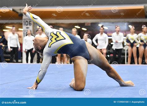 west virginia university gymnastics