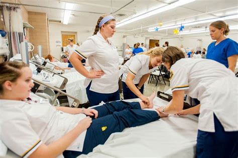 west virginia university nursing classes