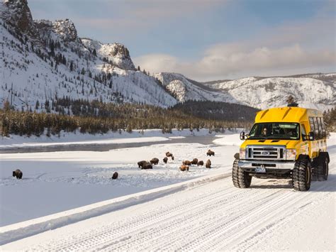 west yellowstone park winter tours