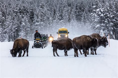 west yellowstone tours winter