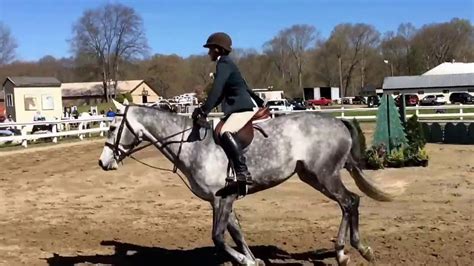 westbrook hunt club horse shows