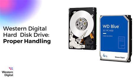 western digital support india login