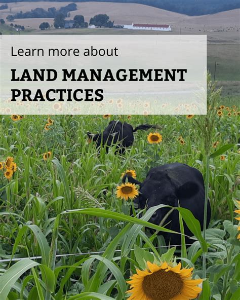 Western Land Management