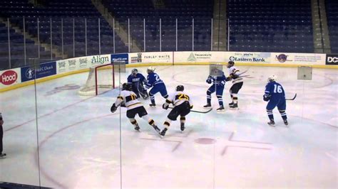 western new england ice hockey