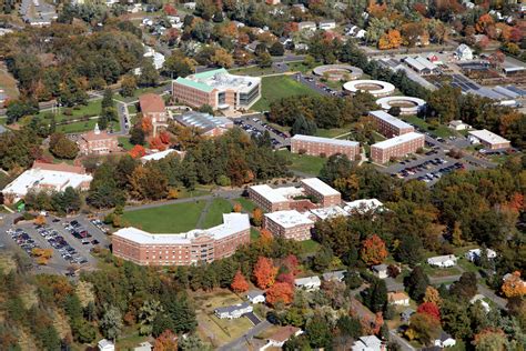 western new england university campus