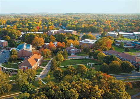 western new england university enrollment