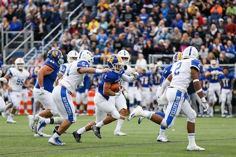 western new england university football