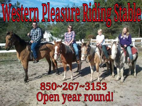western pleasure riding stable