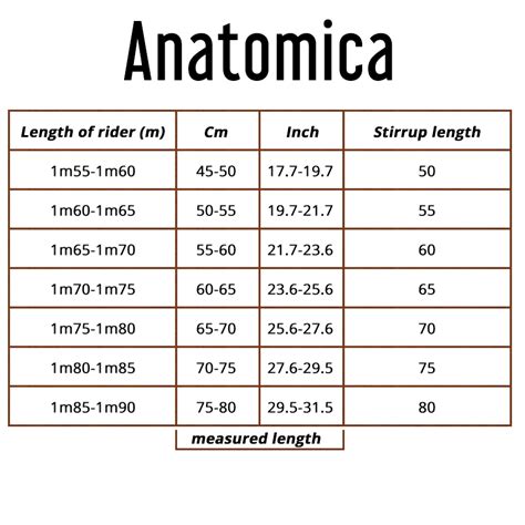 Western Stirrup Sizes