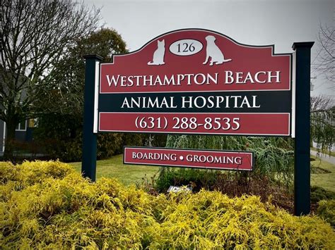 westhampton beach animal hospital