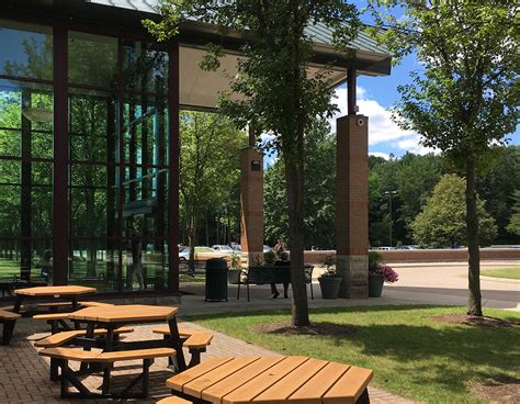 Westland Library Secrets Revealed: Your Ultimate Guide Inside