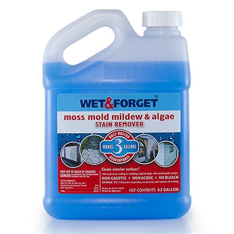 Wet and Review Mold Help For You