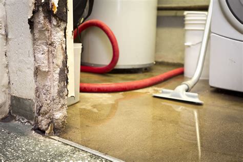 wet basement repair company solutions