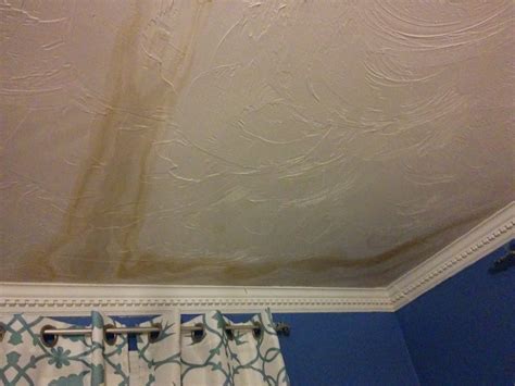Wet Wall In Corner Of Bedroom Rose McLerie