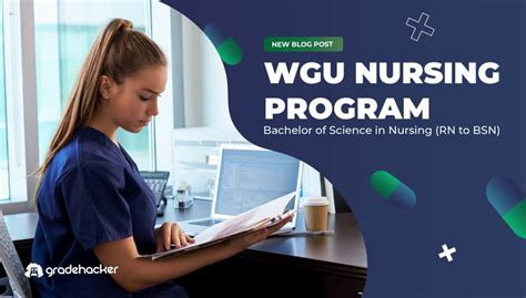 wgu nursing program login