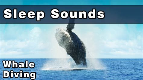 whale sounds to sleep