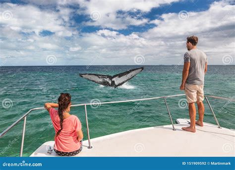 whale watching boat deck
