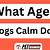 what age does dog calm down