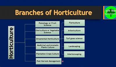 What Are The 4 Main Branches Of Horticulture