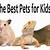 what are the best animals for pets