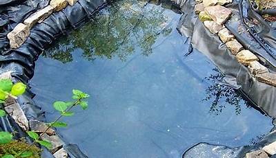 What Can Be Used For A Pond Liner