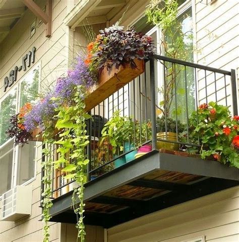 Famous Planting Vegetables On Balcony Ideas OHIONOWCAST.info