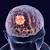 what causes brain tumor quora