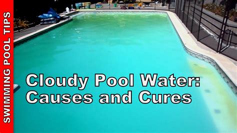 Cloudy Pool Water? Let's Fix It Now! Cloudy pool water, Pool water