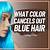 what color cancels out blue hair