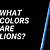 what color is a lion