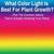 what color light is best for plant growth